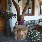 Guest house Alpenhof Grafleiten 4*