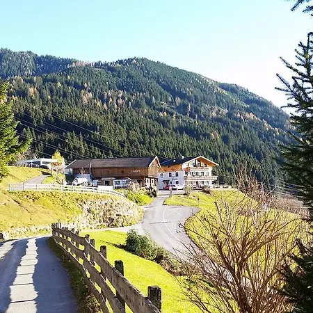 Alpenhof Grafleiten 2* Целль-ам-Зе