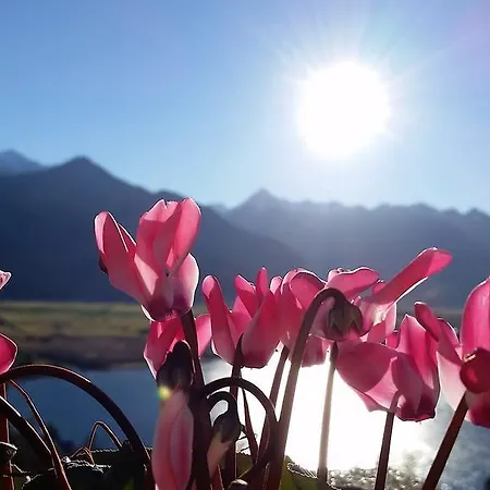 Alpenhof Grafleiten Zell am See