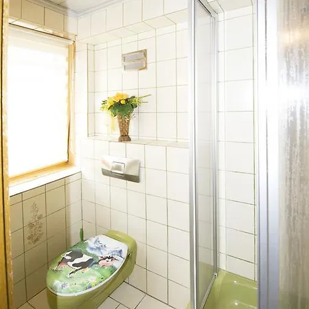 Alpenhof Grafleiten Guest house Zell am See