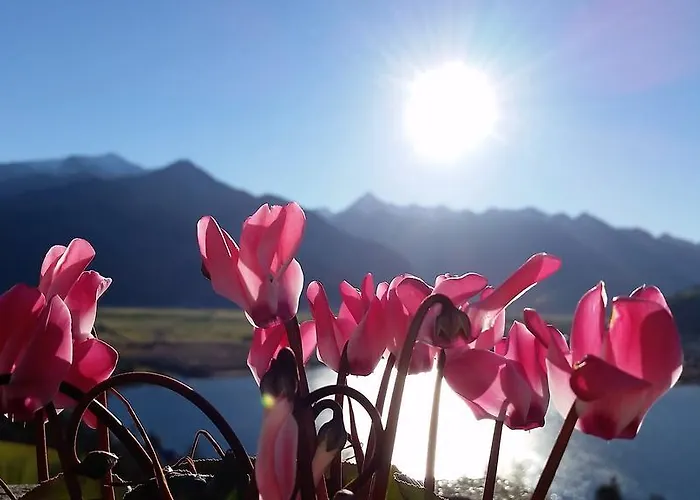 البينهوف جرافليتن زيل أم سي